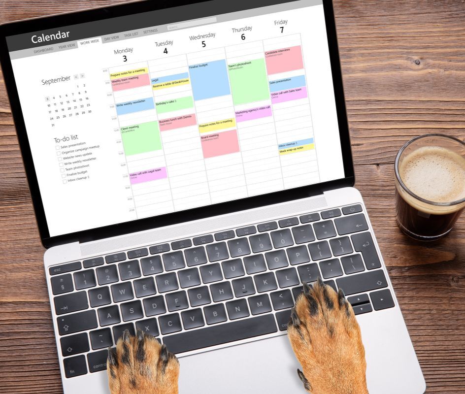 Book An Appointment at Lehigh Valley Animal Hospital