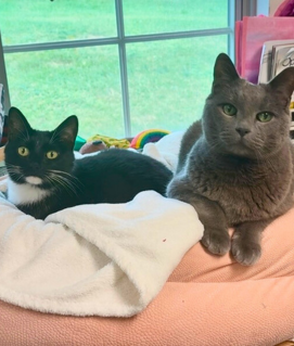 Xena & Smoke