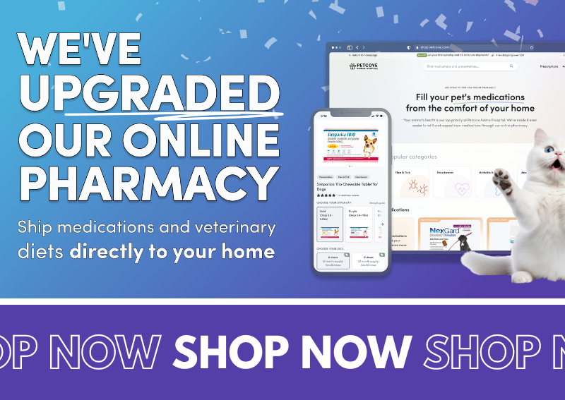 Carousel Slide 1: Allentown online veterinary pharmacy